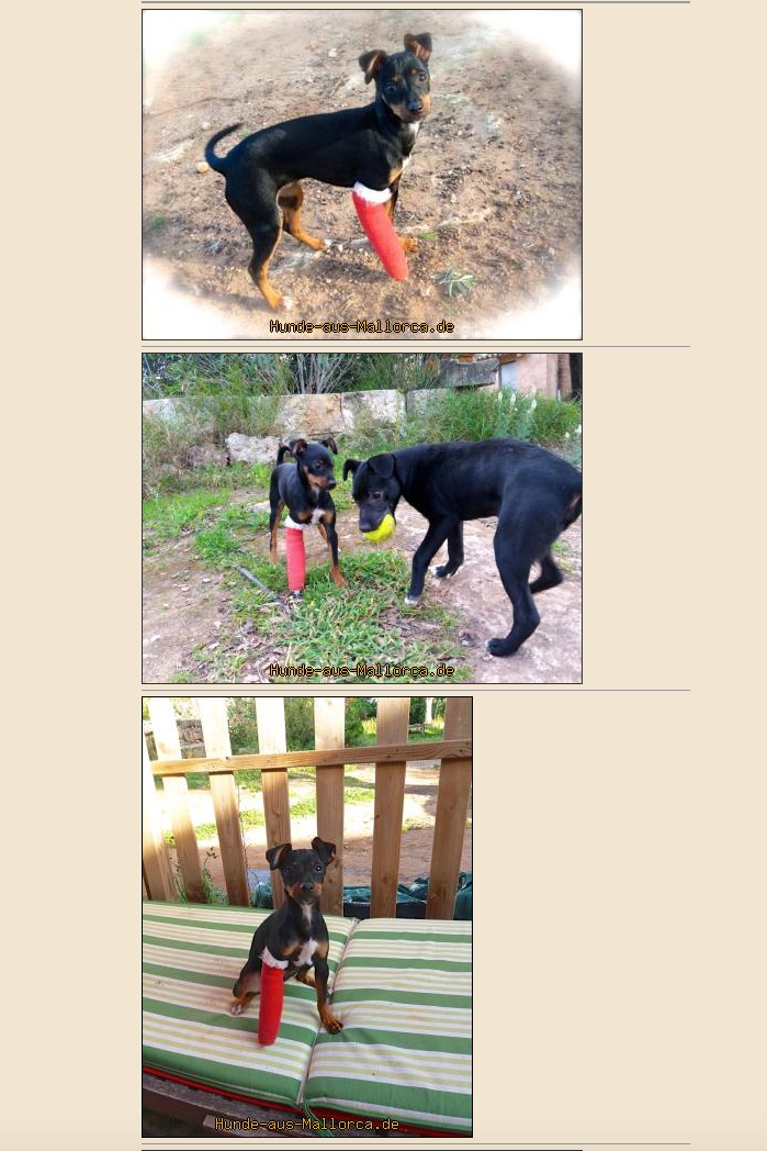 Bildschirmfoto 2018-04-14 um 09.39.17.png
