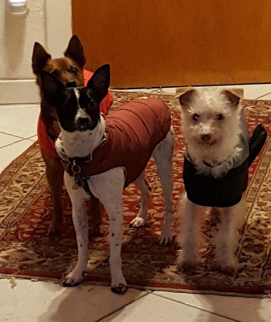 20180126_172745.jpg