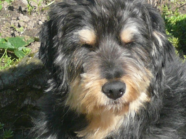 Amado4.jpg
