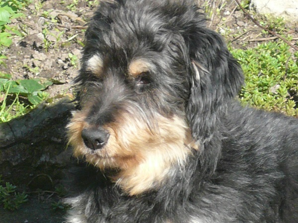 Amado8.jpg