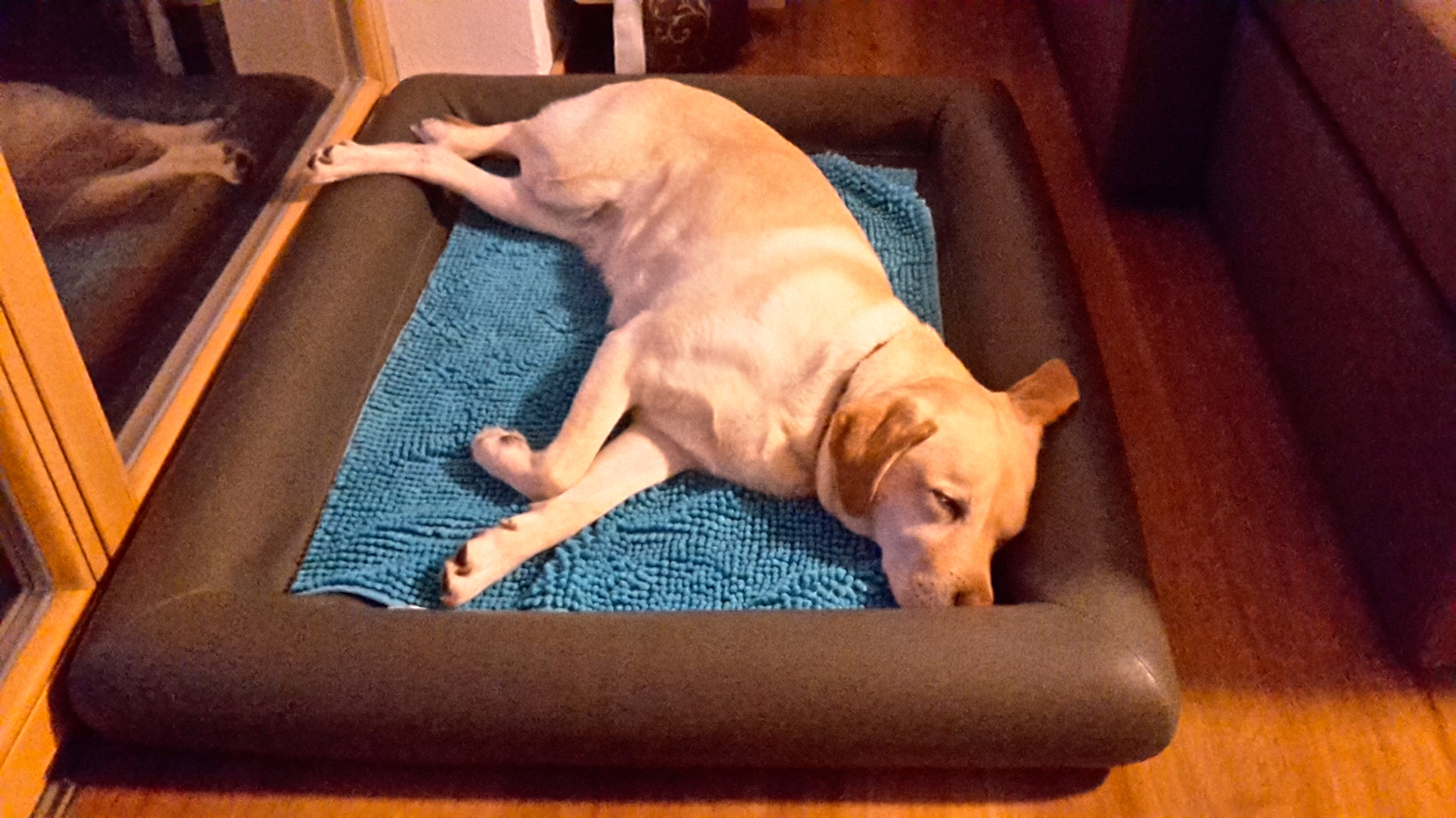 20170501_205336.jpg