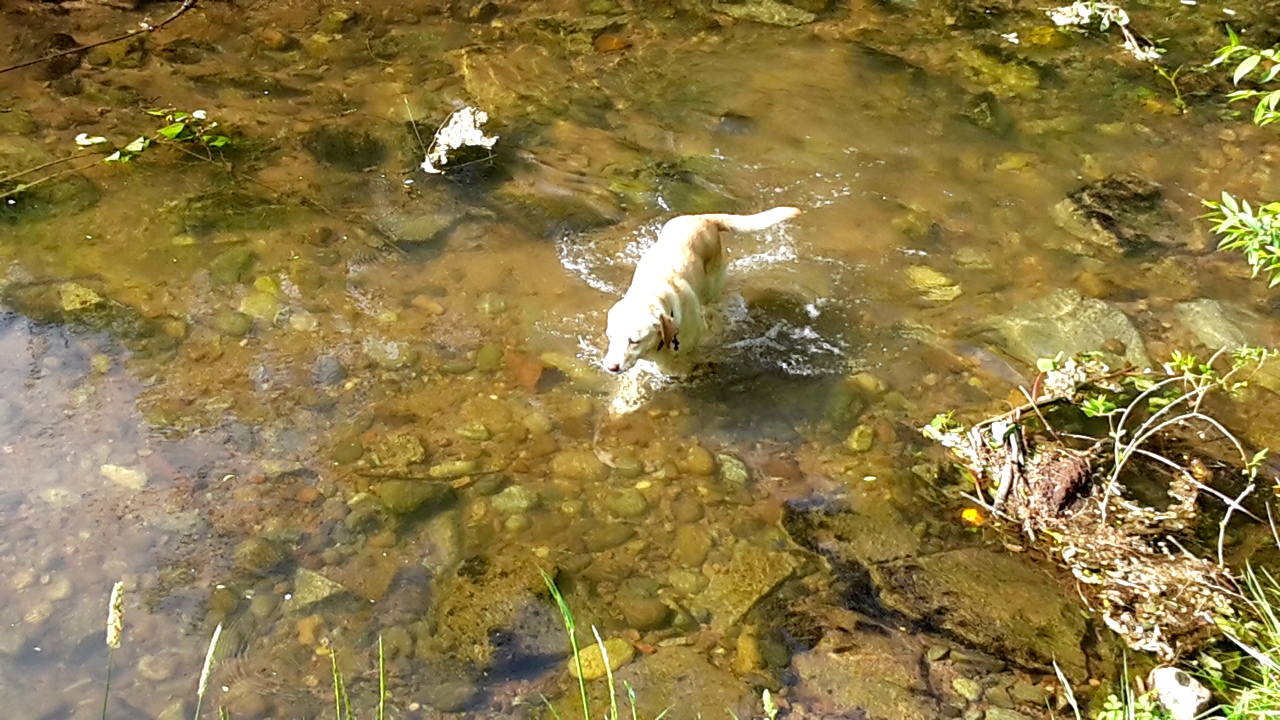 20180505_093104.jpg