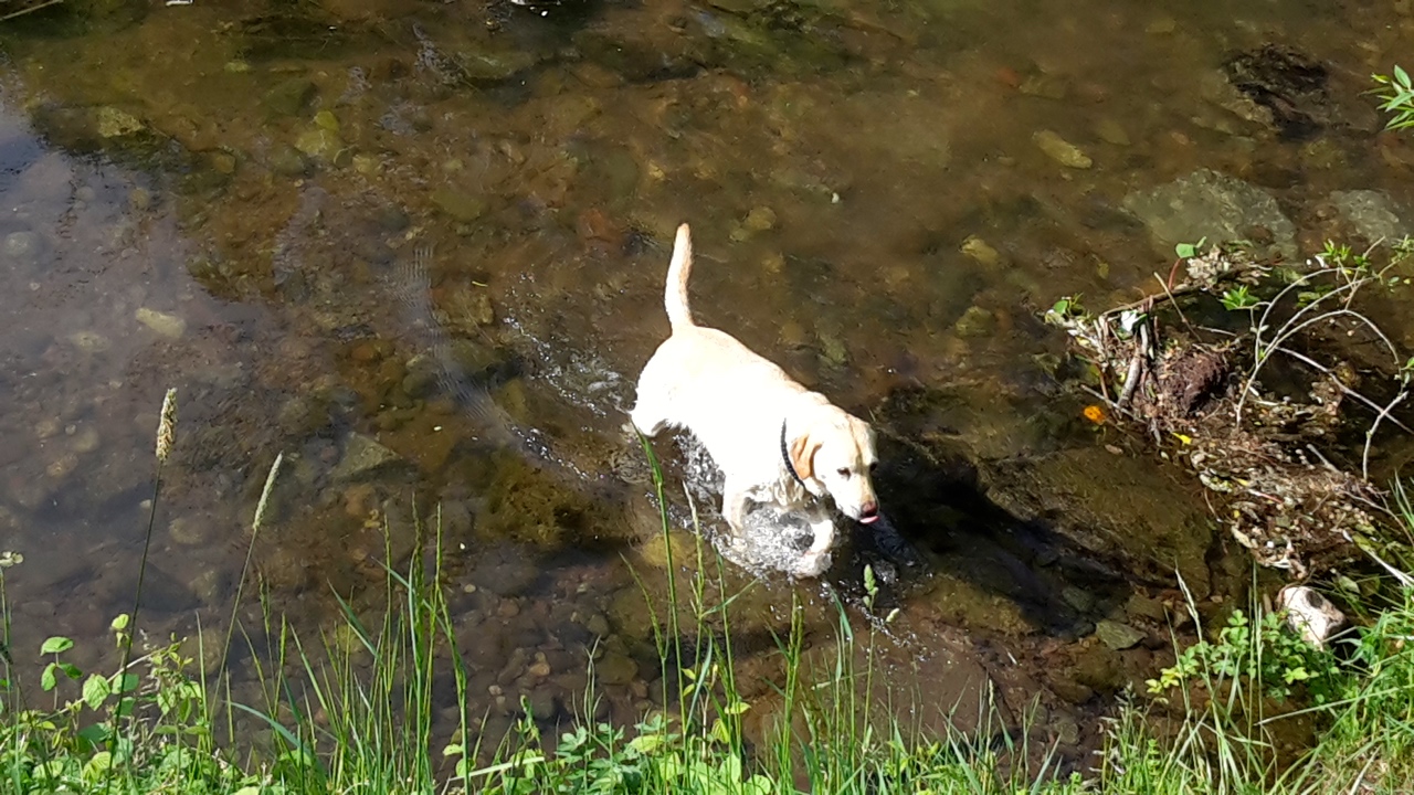20180505_093107.jpg