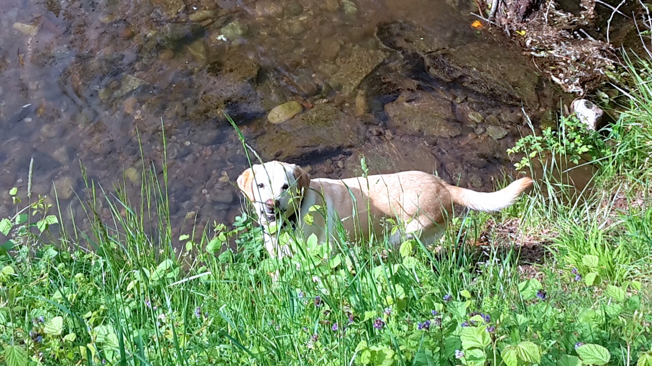 20180505_093117.jpg