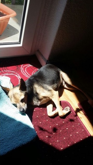 Ein Platz an der Sonne.jpg