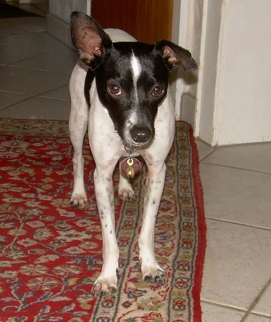 DSCN7402.JPG