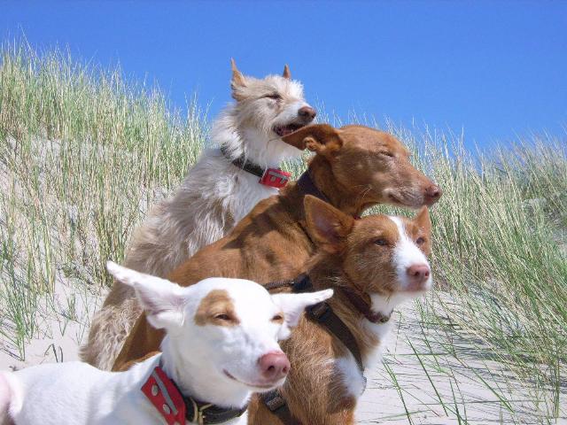 am-meer35.jpg