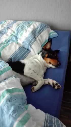 fafe03c4-a6c0-49f8-9e28-ab3bd4f2fa53.jpg