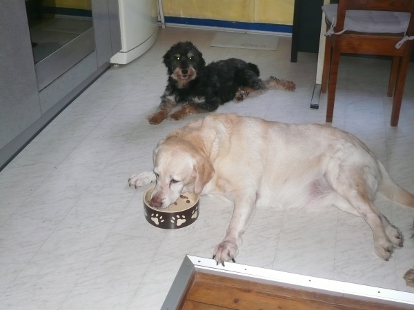 Amado 02.jpg