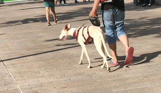 Bildschirmfoto 2018-06-05 um 21.19.54.png