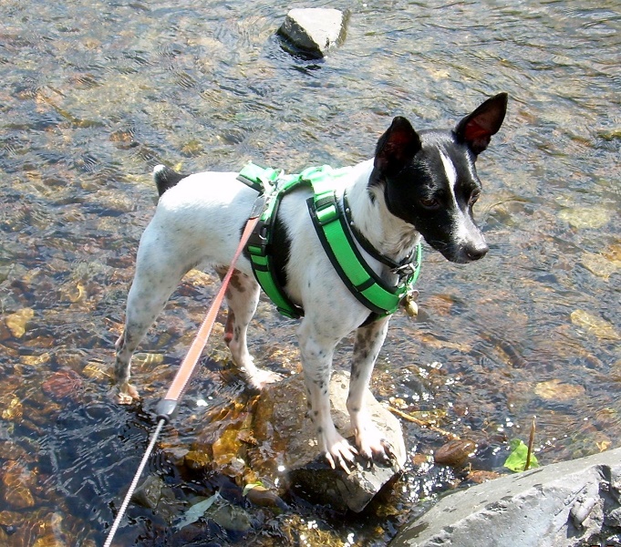 DSCN7452.JPG