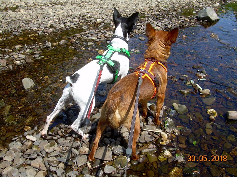 DSCN7459.JPG