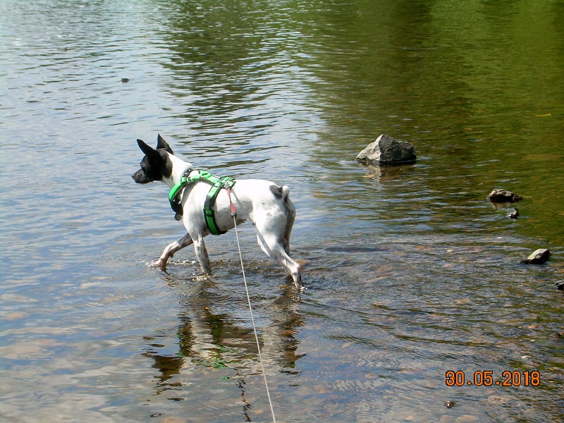 DSCN7440.JPG