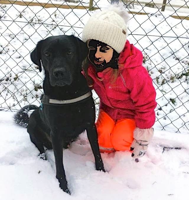 Hund3_697104.jpeg