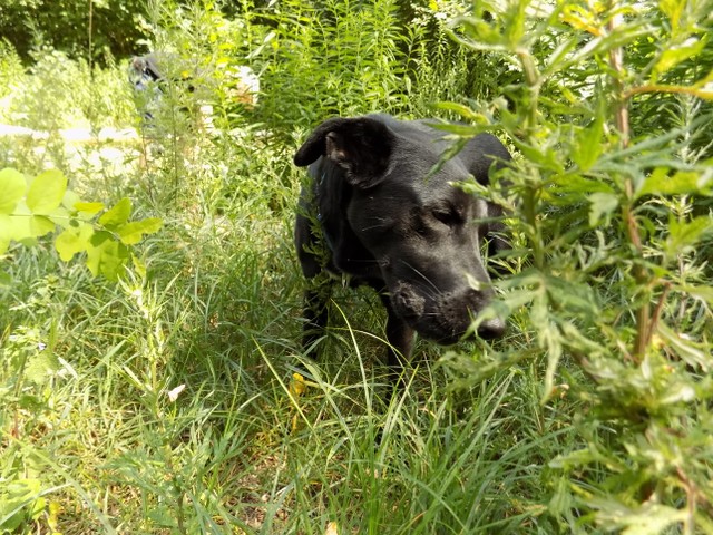 DSCN1534-640x640.jpg
