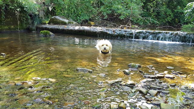 20170730_100937.jpg