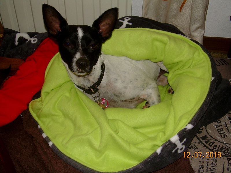 DSCN7556.JPG