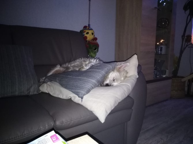 IMG-20180724-WA0010.jpg