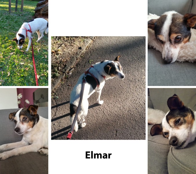 Elmar 1.jpg