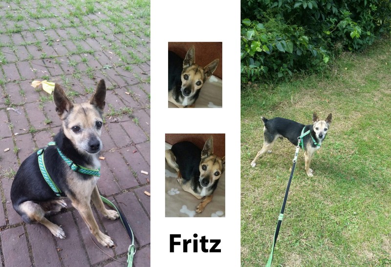 Fritz 1.jpg
