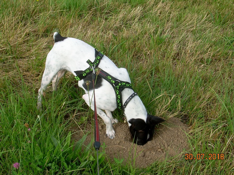 DSCN7590.JPG