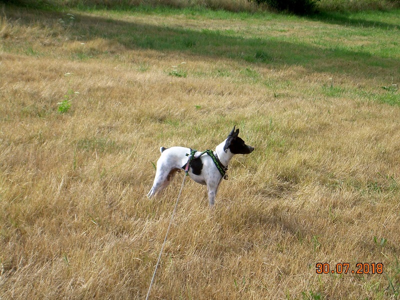 DSCN7592.JPG