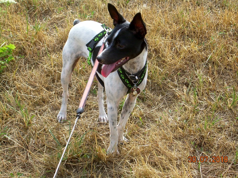 DSCN7597.JPG