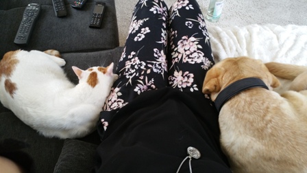 20180710_144555web.jpg