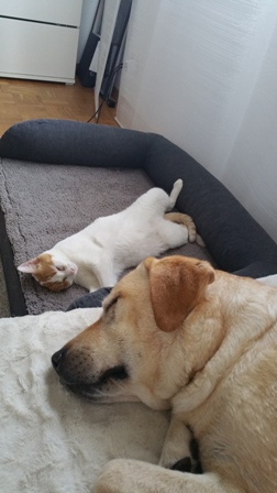 20180727_181743web.jpg