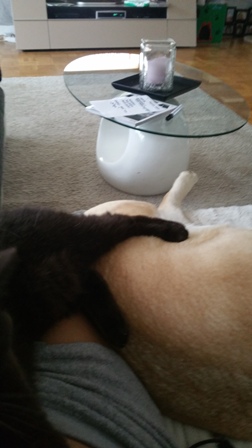 20180824_132708web.jpg