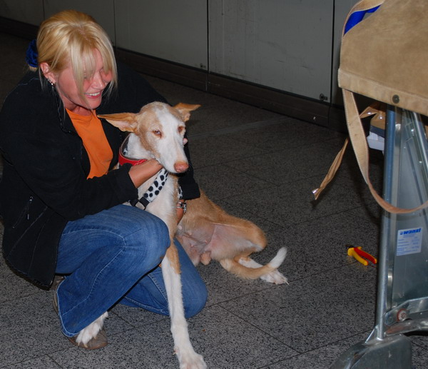 DSC_1123.jpg