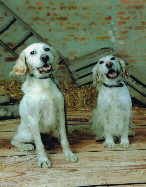 Sophia und Inca02.jpg