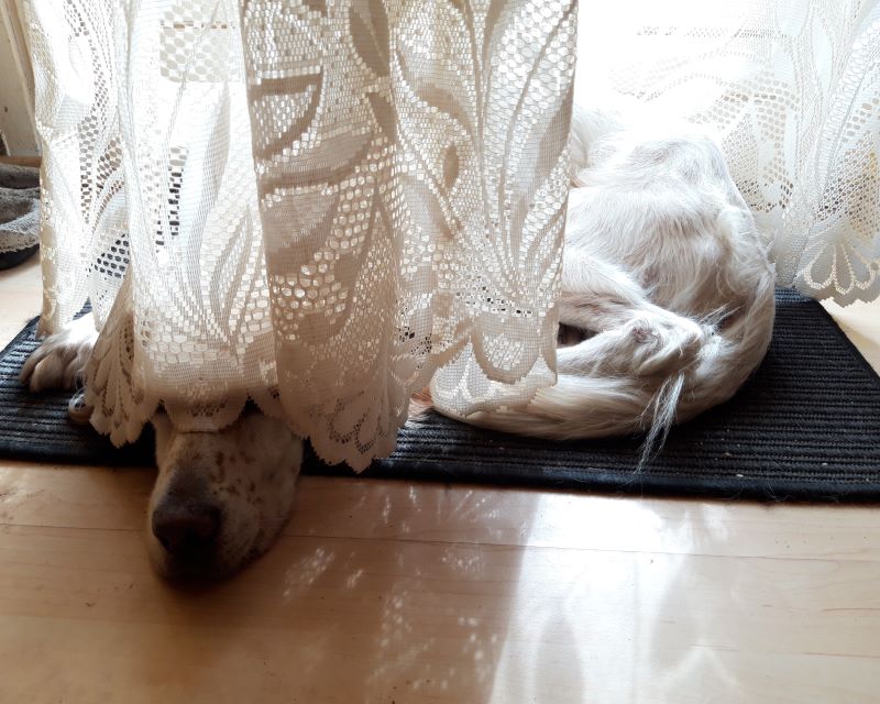 20180922_141141.jpg