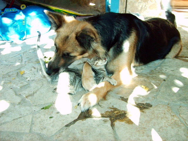 PICT0024.JPG