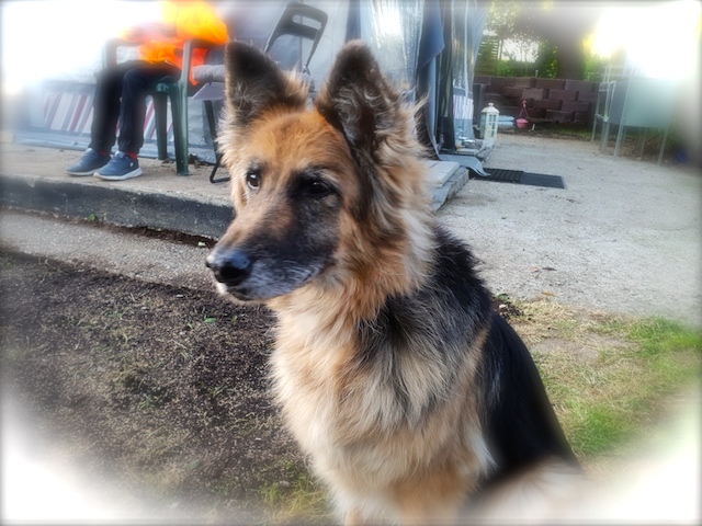 20180510_201826.jpg
