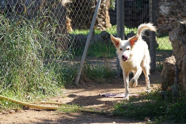 DSC01157.jpg