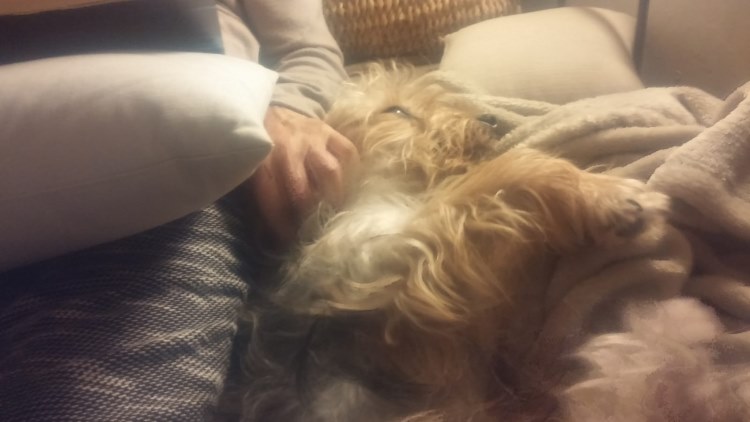 IMG-20181001-WA0006.jpg