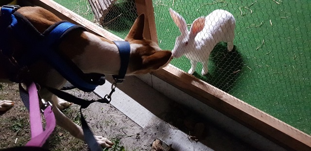 20181014_201330_resized n.jpg