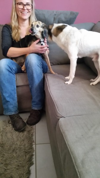 Die Zwei mit dem neuen Frauchen bei der Abholung.jpg