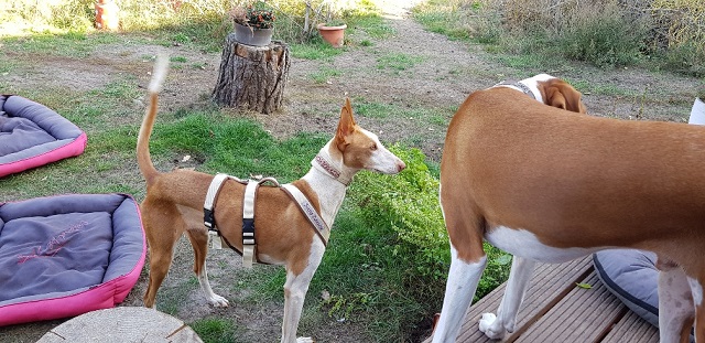 20181016_151555_resized.jpg