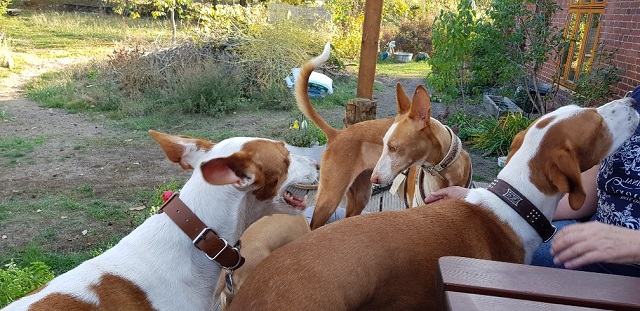 20181016_151604_resized.jpg