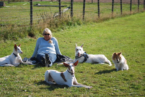 DSC_0052.jpg