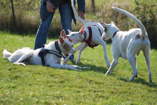 DSC_0009.jpg