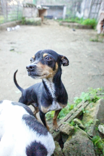 SAYDIE7.jpg