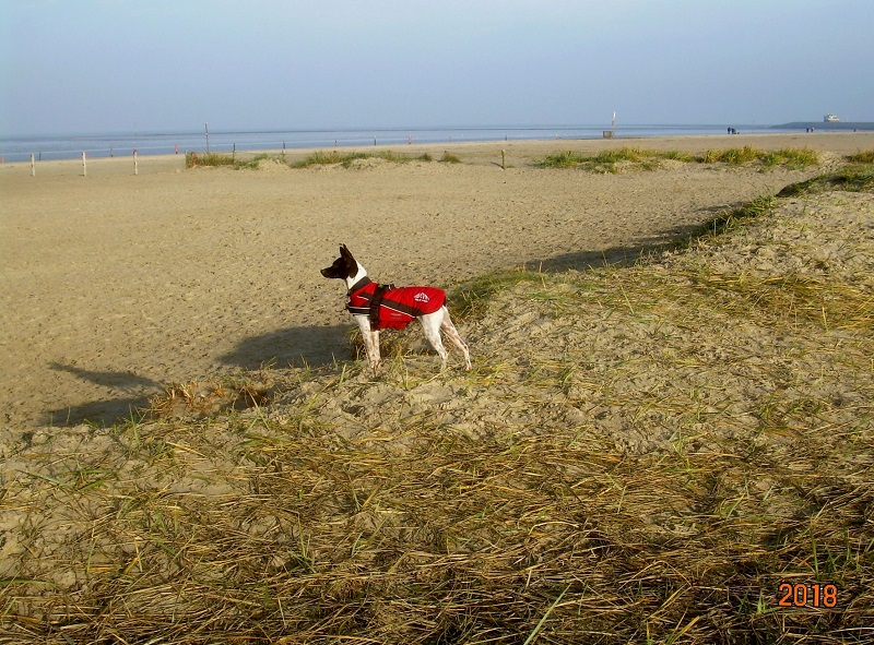 DSCN7921.JPG