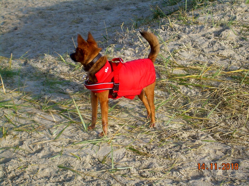 DSCN7919.JPG