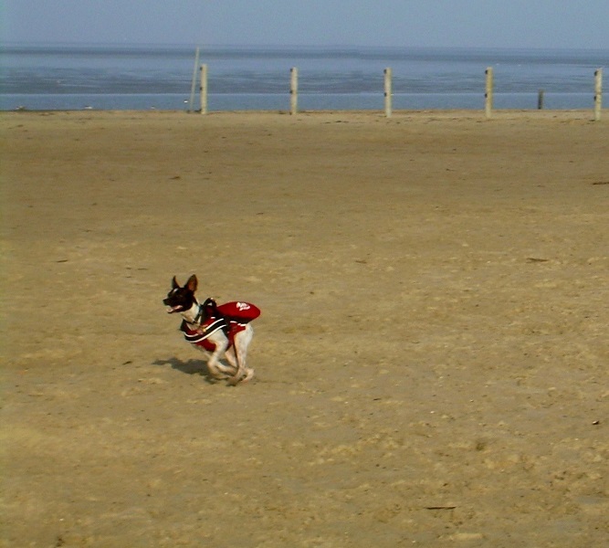 DSCN7923.JPG