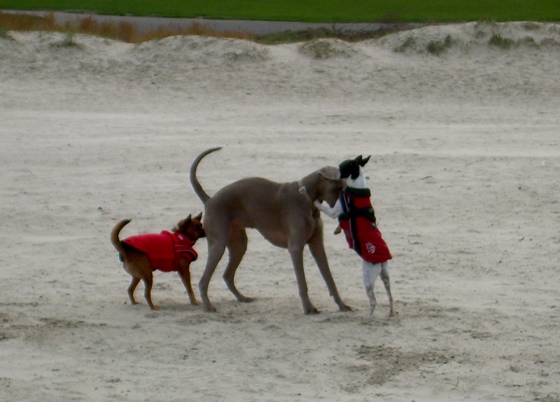 DSCN7959.JPG