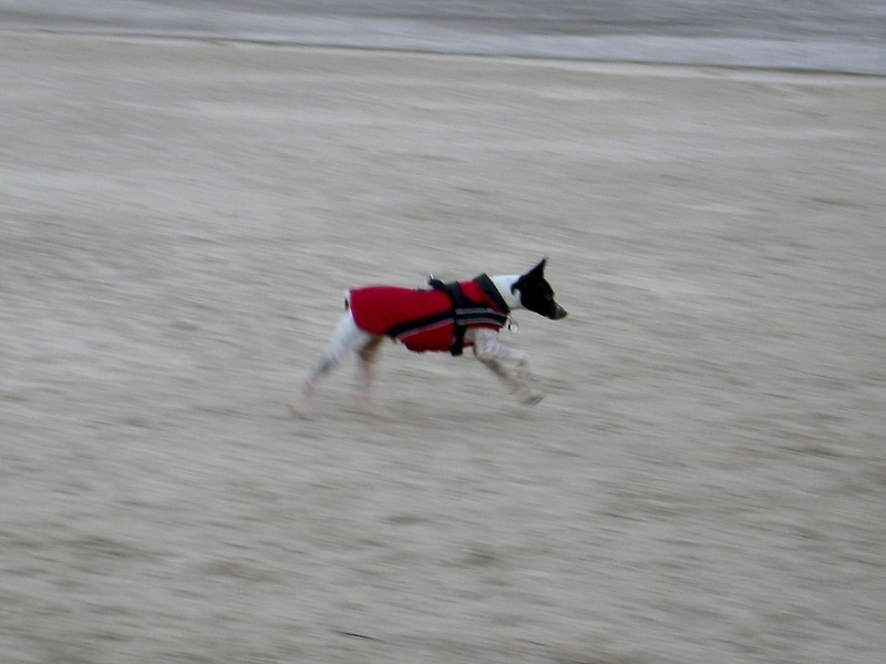 DSCN7966.JPG