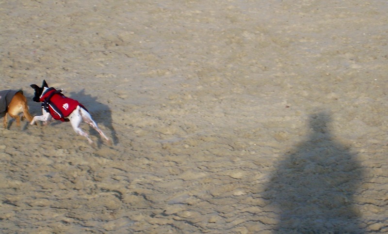 DSCN7913.JPG